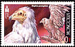 Egyptian Vulture Neophron percnopterus  2002 Birds of prey 