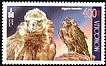 Cinereous Vulture Aegypius monachus  2002 Birds of prey 