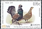 Western Capercaillie Tetrao urogallus