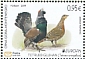 Western Capercaillie Tetrao urogallus  2019 Europa  MS