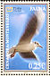 Black-headed Gull Chroicocephalus ridibundus  2007 Fauna 