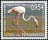 Greater Flamingo Phoenicopterus roseus  2015 Flamingo 