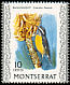 Bananaquit Coereba flaveola  1970 Birds Chalk-surfaced paper