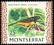 Montserrat Oriole Icterus oberi  1970 Birds Chalk-surfaced paper