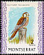 American Kestrel Falco sparverius  1971 Birds Glazed paper