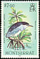Black-crowned Night Heron Nycticorax nycticorax  1984 Birds 