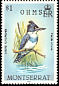 Belted Kingfisher Megaceryle alcyon  1985 Overprint OHMS on 1984.01 