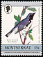 Black-throated Blue Warbler Setophaga caerulescens  1985 Audubon 