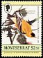 American Goldfinch Spinus tristis  1985 Audubon 