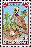 Brown Pelican Pelecanus occidentalis  1988 Easter  MS