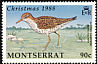 Spotted Sandpiper Actitis macularius  1988 Christmas 