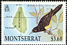 Montserrat Oriole Icterus oberi  1992 Montserrat Oriole 