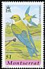 Golden Swallow Tachycineta euchrysea  2001 Caribbean birds 