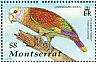St. Vincent Amazon Amazona guildingii  2001 Caribbean birds  MS