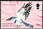 Belted Kingfisher Megaceryle alcyon  2003 Birds of the Caribbean 