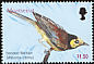 Hooded Warbler Setophaga citrina  2003 Birds of the Caribbean 
