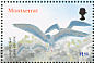 Laughing Gull Leucophaeus atricilla  2003 Birds of the Caribbean Sheet
