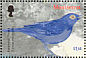 Spectacled Thrush Turdus nudigenis  2003 Birds of the Caribbean Sheet