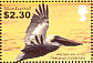 Brown Pelican Pelecanus occidentalis  2005 Seabirds of the Caribbean Sheet
