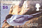 Common Tern Sterna hirundo  2005 Seabird of the Caribbean  MS