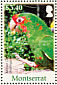 Mitred Parakeet Psittacara mitratus  2007 Parrots of the Caribbean Sheet