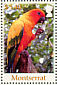 Sun Parakeet Aratinga solstitialis  2007 Parrots of the Caribbean Sheet