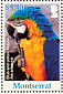 Blue-and-yellow Macaw Ara ararauna  2007 Parrots of the Caribbean Sheet