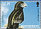 Smooth-billed Ani Crotophaga ani  2009 Birds of Montserrat Sheet