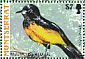 Montserrat Oriole Icterus oberi  2009 Birds of Montserrat  MS