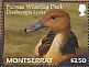 Fulvous Whistling Duck Dendrocygna bicolor  2012 Ducks Sheet
