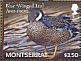 Blue-winged Teal Spatula discors  2012 Ducks Sheet