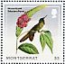 Olivaceous Thornbill Chalcostigma olivaceum  2014 Hummingbirds Sheet