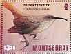 Brown Trembler Cinclocerthia ruficauda  2016 Birds of Montserrat Sheet