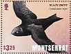 American Black Swift Cypseloides niger  2016 Birds of Montserrat Sheet