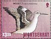 Willet Tringa semipalmata  2016 Birds of Montserrat Sheet