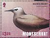 Brown Noddy Anous stolidus  2016 Birds of Montserrat Sheet