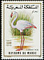 Greater Flamingo Phoenicopterus roseus  1988 Birds 