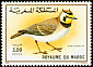 Horned Lark Eremophila alpestris  1989 Birds 