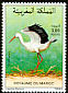 White Stork Ciconia ciconia  1991 Birds 