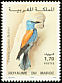 European Roller Coracias garrulus  1995 Birds 