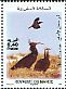 Northern Bald Ibis Geronticus eremita  2012 Rabat Zoo 4v set