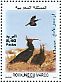 Northern Bald Ibis Geronticus eremita  2012 Rabat Zoo 4v sheet