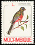 Narina Trogon Apaloderma narina  1980 Birds 