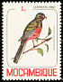 Narina Trogon Apaloderma narina