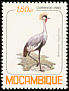 Grey Crowned Crane Balearica regulorum