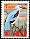 Woodland Kingfisher Halcyon senegalensis  1987 Birds 