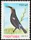 Amethyst Sunbird Chalcomitra amethystina  1992 Birds 