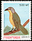 Grey-headed Bushshrike Malaconotus blanchoti