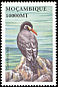 Inca Tern Larosterna inca  2002 Seabirds 