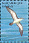 Audubon's Shearwater Puffinus lherminieri  2002 Seabirds Sheet